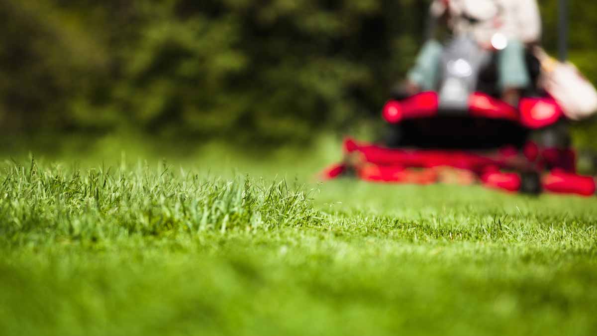 Best Battery Riding Lawn Mowers Consumer Reports