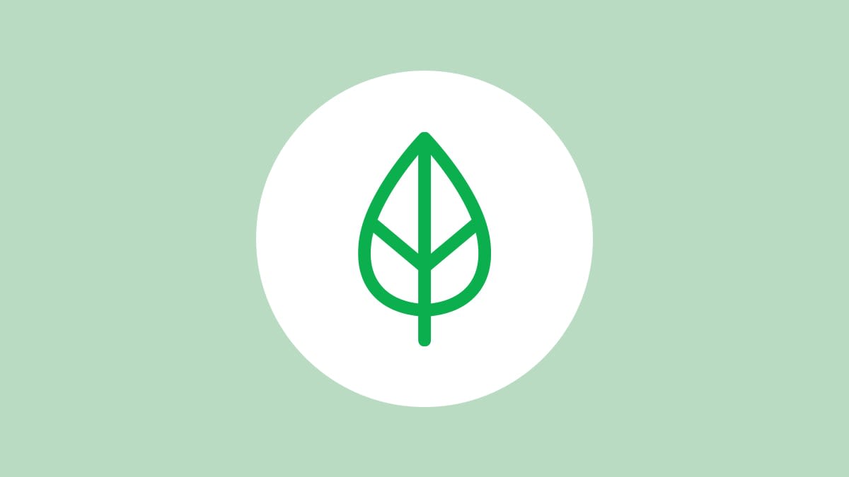 Green leaf icon