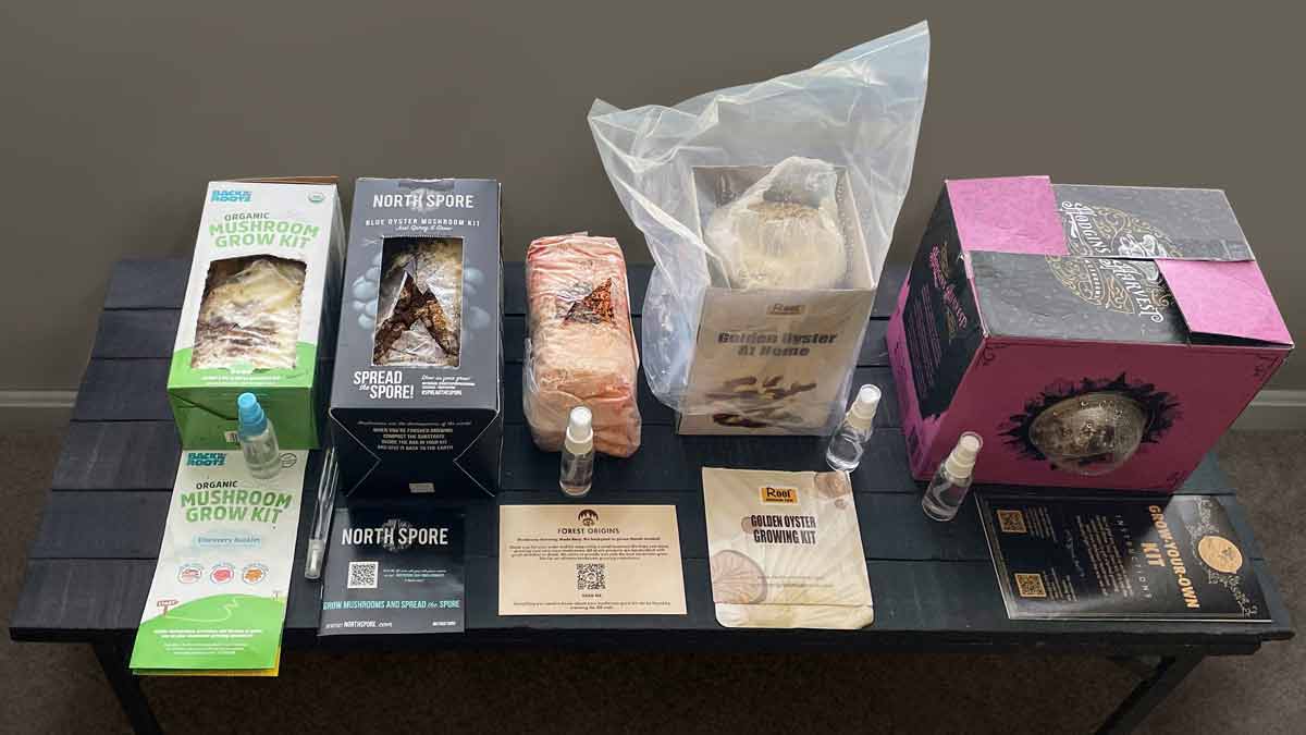 five different mushroom grow kits lined up on table