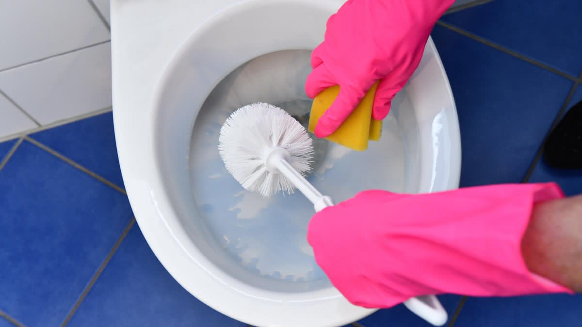 You’re Not Cleaning Your Toilet Brush Often Enough | Smarter