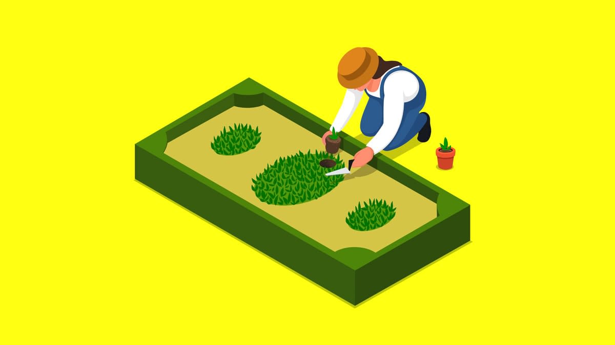 A person tending to their garden that is in the loose shape of a dollar bill