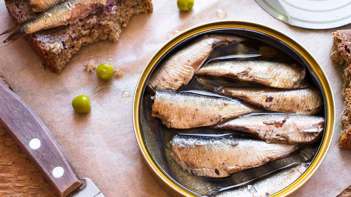 Canned Sardines