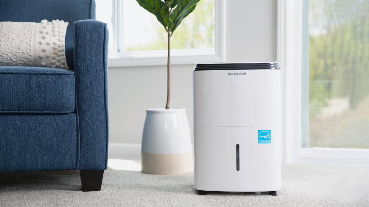 How to Use a Dehumidifier Tips for Best Results Consumer Reports