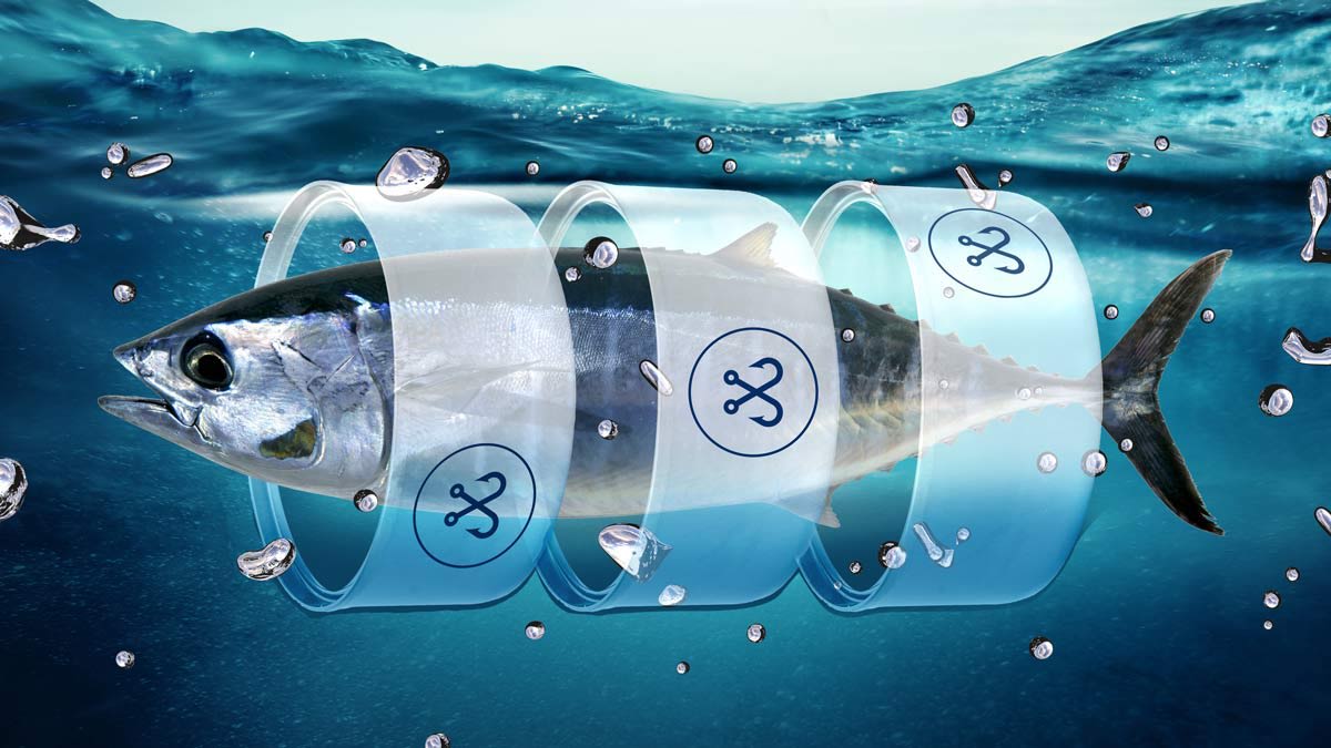 How Worried Should You Be About Mercury in Your Tuna? Consumer Reports