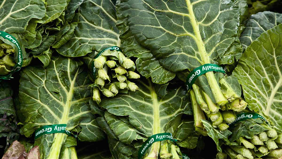 Are Collard Greens Good for You? Consumer Reports