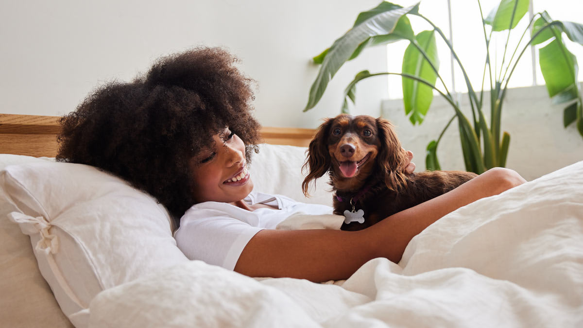 Should You Let Pets Sleep in Your Bed? Smarter Consumer Reports