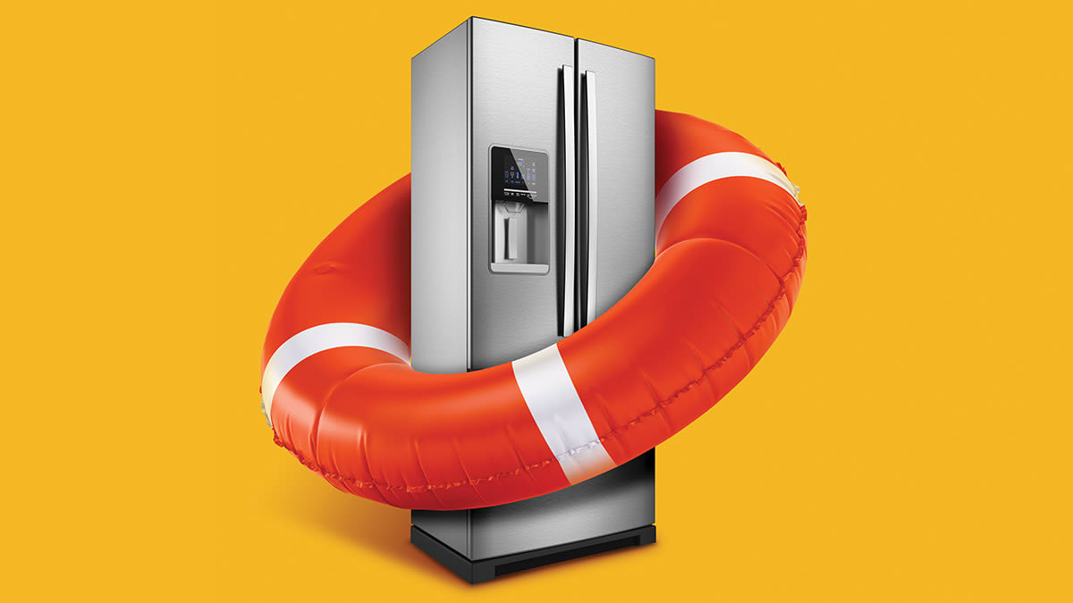Refrigerator in lifesaving ring buoy