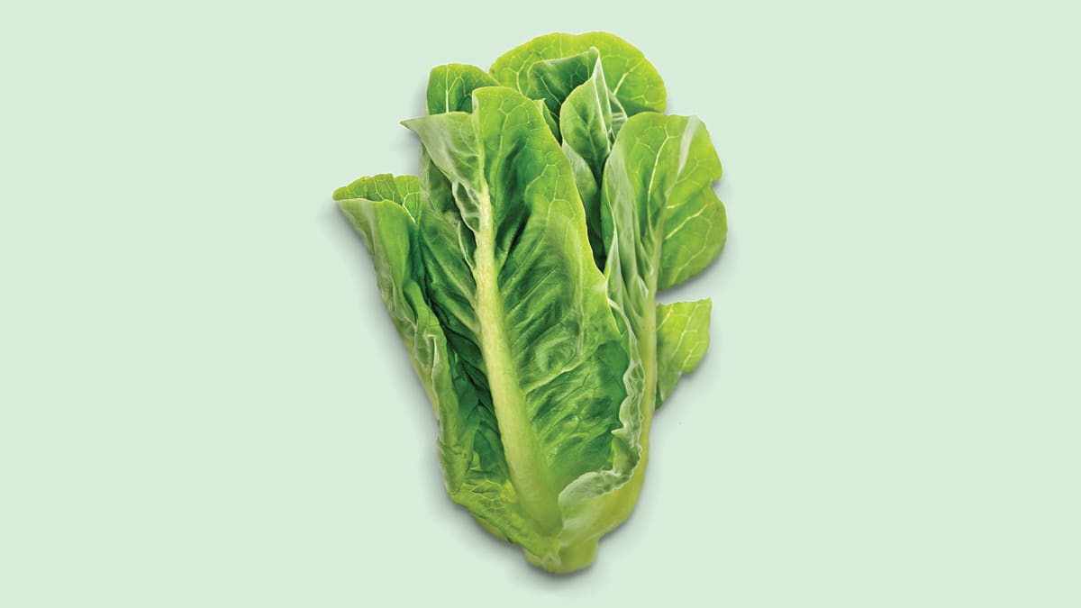 head of lettuce