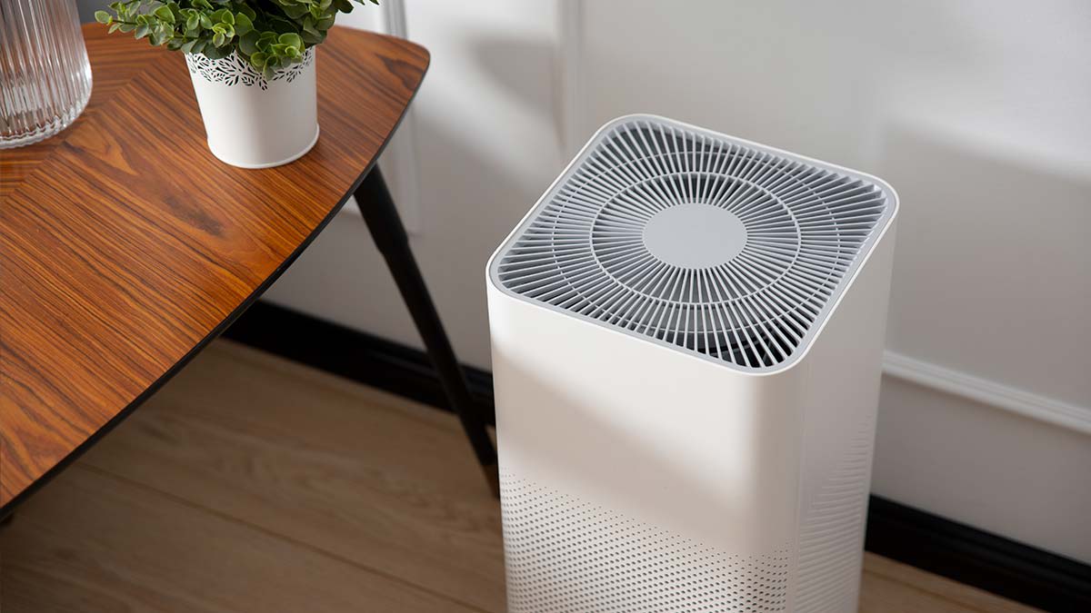 How to Improve Indoor Air Quality - Consumer Reports