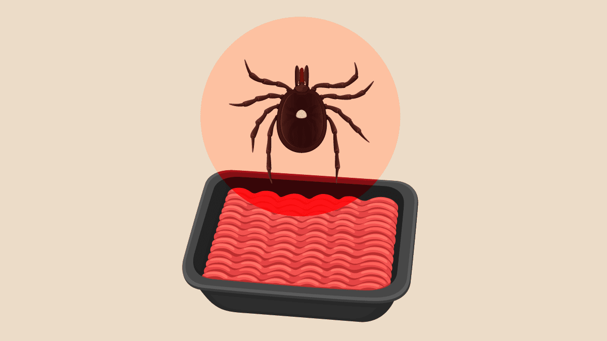 Illustration of a tick with a package of ground red beef.