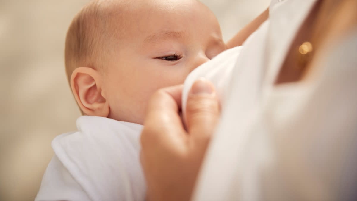 Best Nursing Bra Buying Guide Consumer Reports