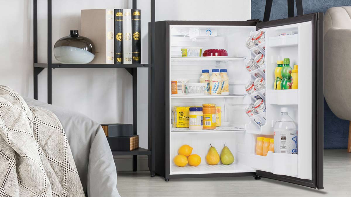 Best Mini Fridges of 2024 Consumer Reports