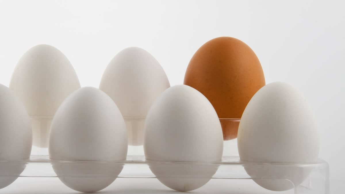 Why Are Brown Eggs More Expensive Than White Ones? Consumer Reports
