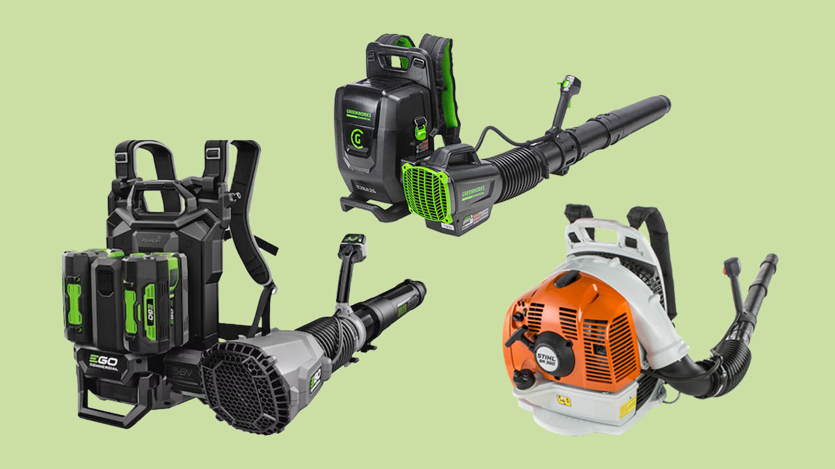 Best Backpack Leaf Blowers of 2024 Consumer Reports