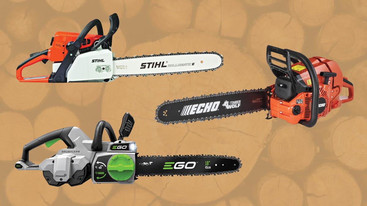 Best Chainsaws of 2024 Consumer Reports