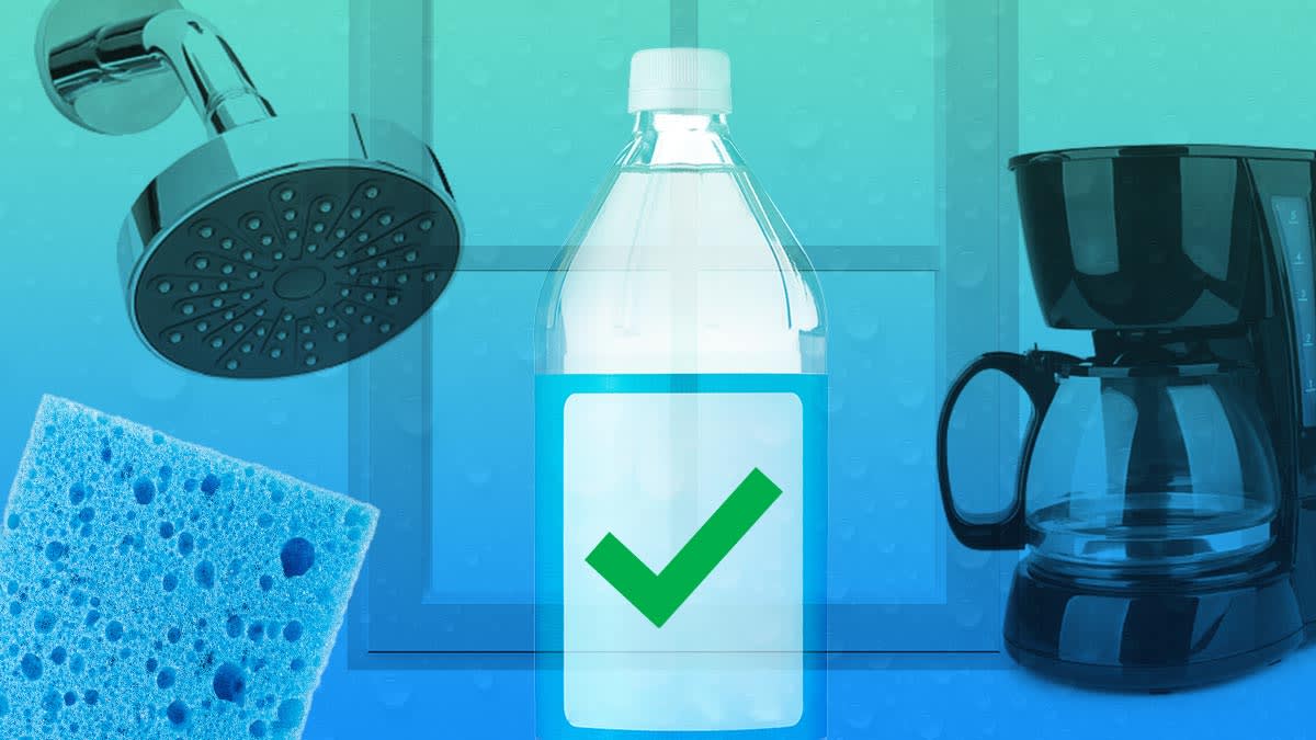 Sponge, showerhead, window, coffeemaker, and vinegar bottle with check mark on it