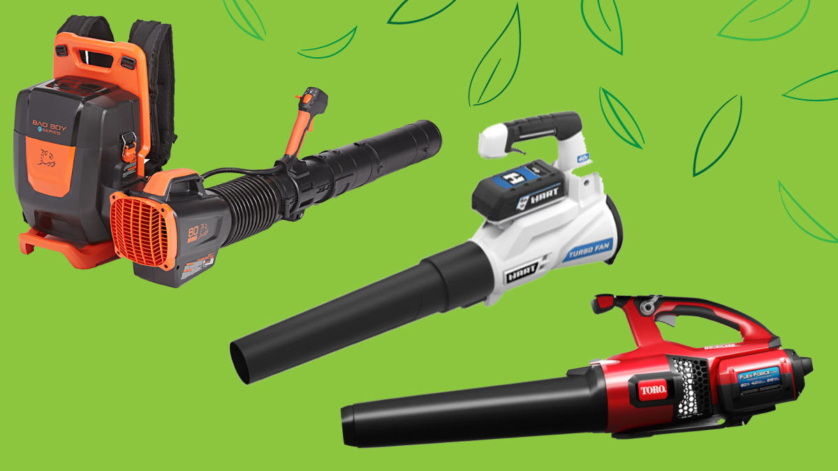 Are Battery Leaf Vacuums Powerful Enough: Ultimate Performance Tested