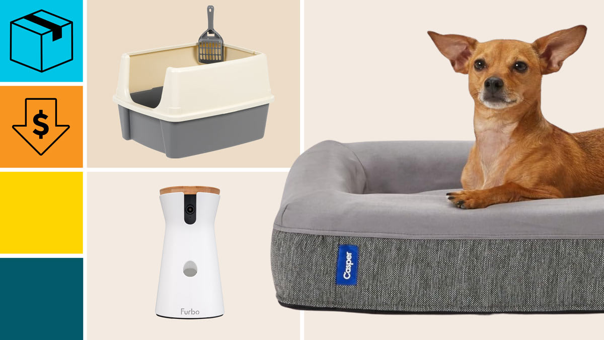 Furbo Pet Camera, Amazon Basics Large Cat Litter Box, and Casper Dog Bed with a cyan block with a package icon, and an orange block with a dollar sign in a down arrow