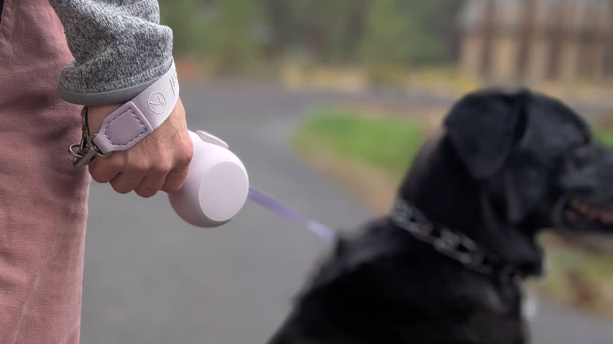 close up of hand holding FurReal Heated Dog Leash with black dog blurred in background