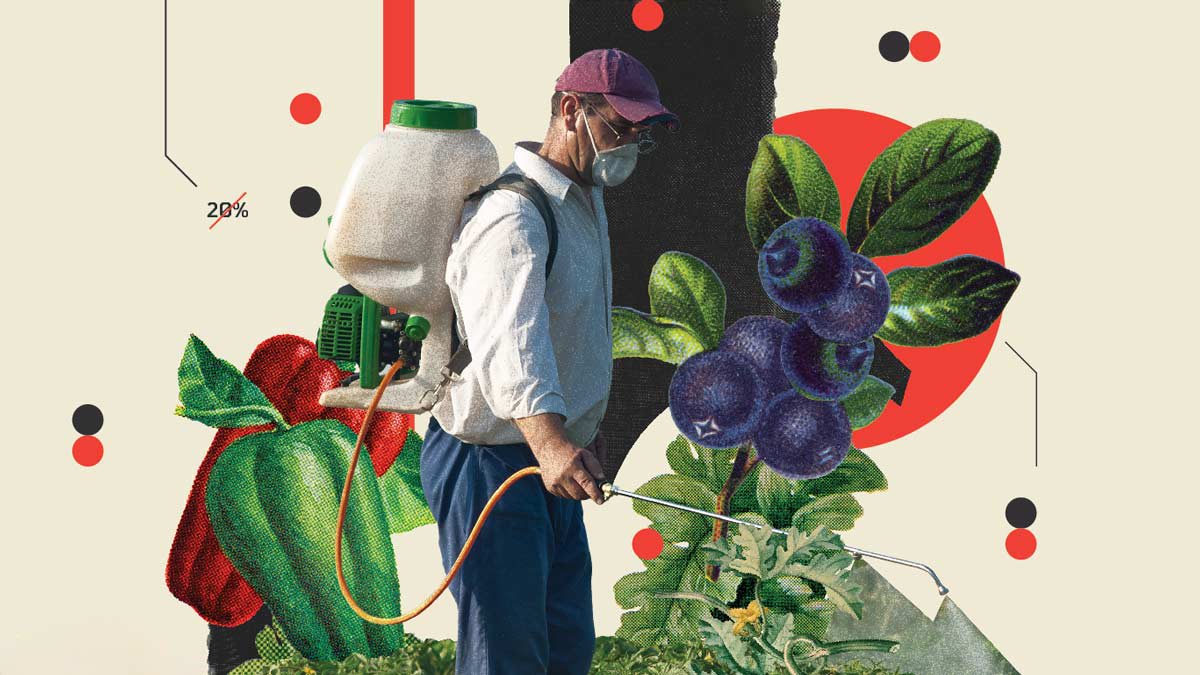 https://article.images.consumerreports.org/image/upload/t_article_tout/v1760709747/prod/content/dam/CRO-Images-2025/Health/CR-Health-InlineHero-Pesticides-in-Produce-Problem-Pesticides-1025