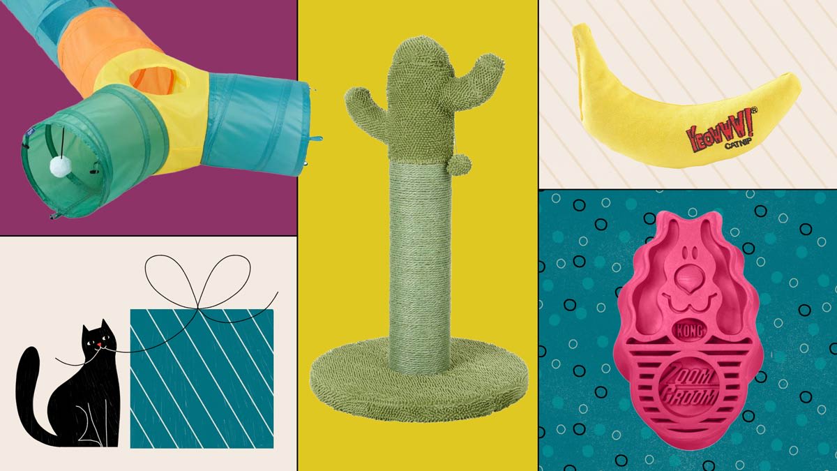 Frisco Foldable Play Tri-Tunnel Cat Toy, Frisco Cactus Cat Scratching Post, Yeowww Catnip Banana, Kong ZoomGroom Brush