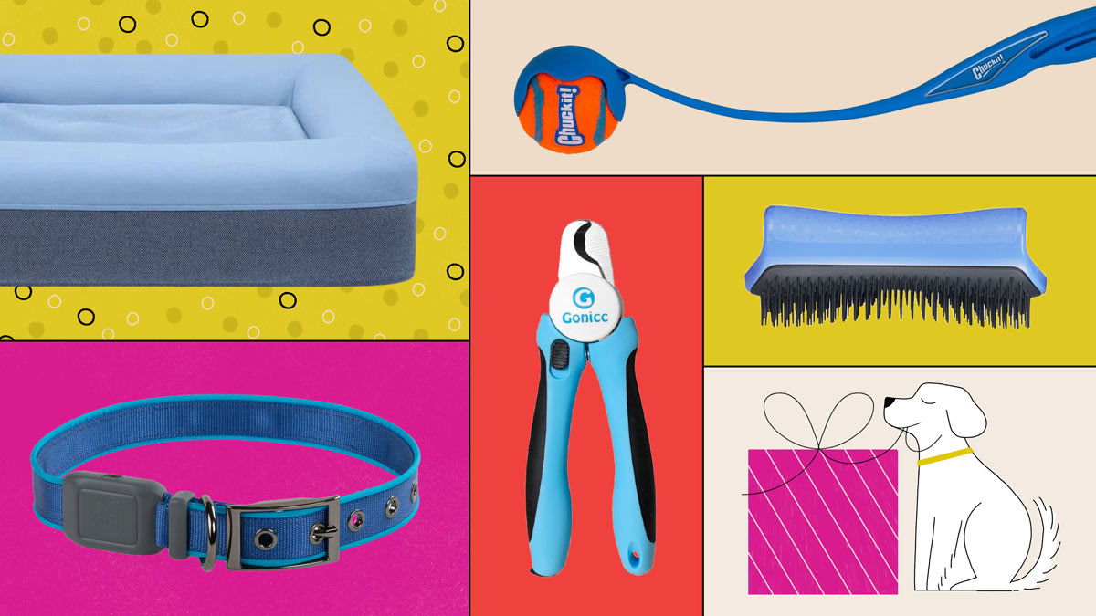 Casper Dog Bed, Chuckit Classic 26M Dog Ball Launcher, Tangle Teezer Detangling Dog Grooming Brush, Gonicc Pet Nail Trimmer, Nite Ize Nitedog Rechargeable LED Collar