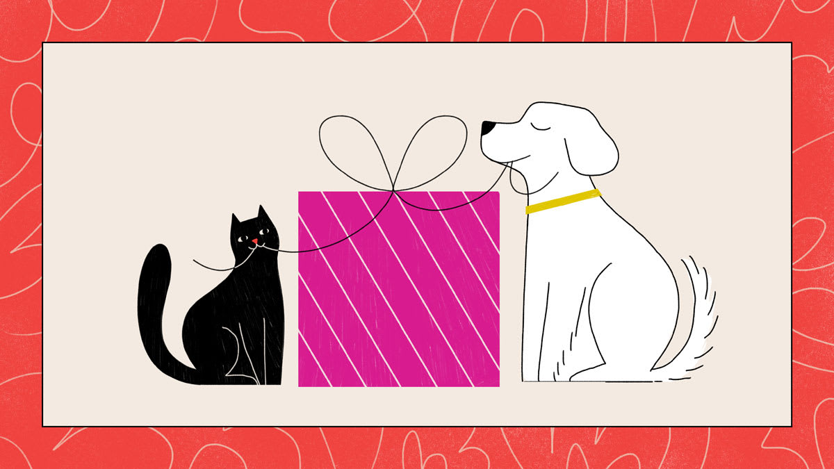 A cat and dog sitting beside a green gift box with a bow.
