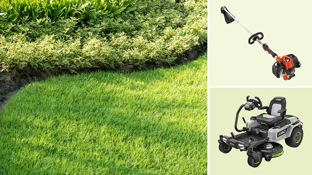 A top down view of a green lawn bordered by a curved garden edge, Echo SRM-2620 string trimmer, and the Ego ZT4205S riding mower.