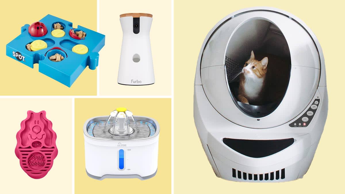 Clockwise: Furbo Dog Camera, Litter-Robot 3 Automatic Litterbox, Wonder Creature Store Cat Water Fountain (Stainless Steel), Kong ZoomGroom Brush, and Ethical Pet Seek-A-Treat Flip N Slide Puzzle Dog Toy