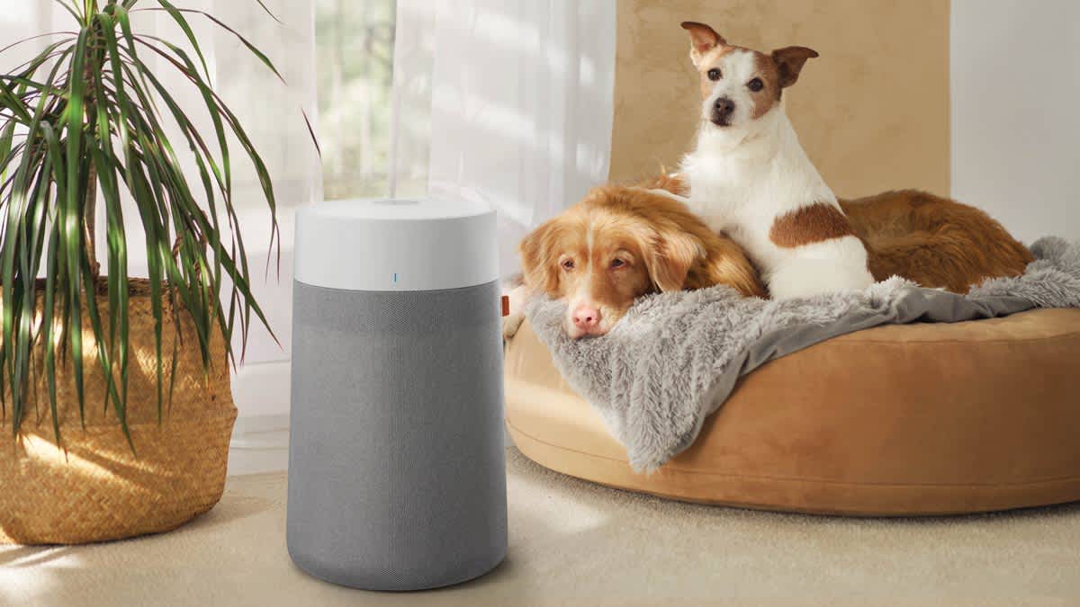 Blueair Blue Pure 300+ Max air purifier in living room with plant and two dogs in dog bed in background