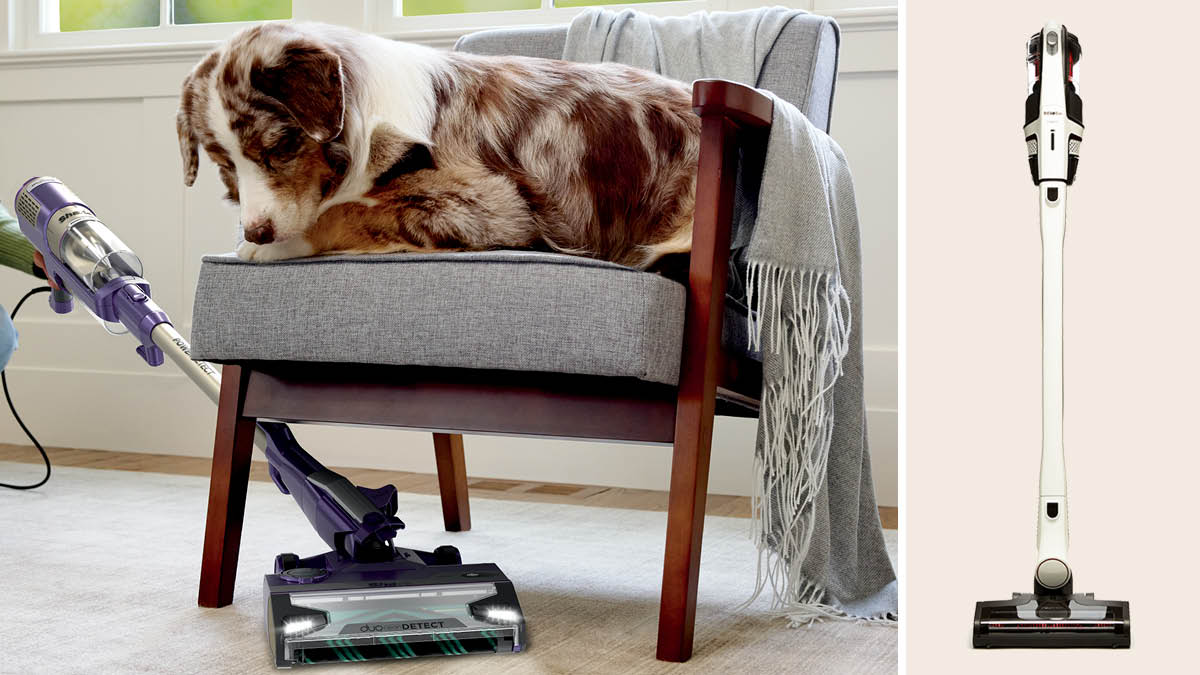 Shark PowerDetect HZ4002 vacuum being used in a living room under a chair with a dog sitting in it, Miele Duoflex HX1 stick vacuum.