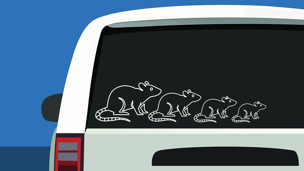 A white car's rear window features a stick-figure sticker of a family of four white-outlined rodents.