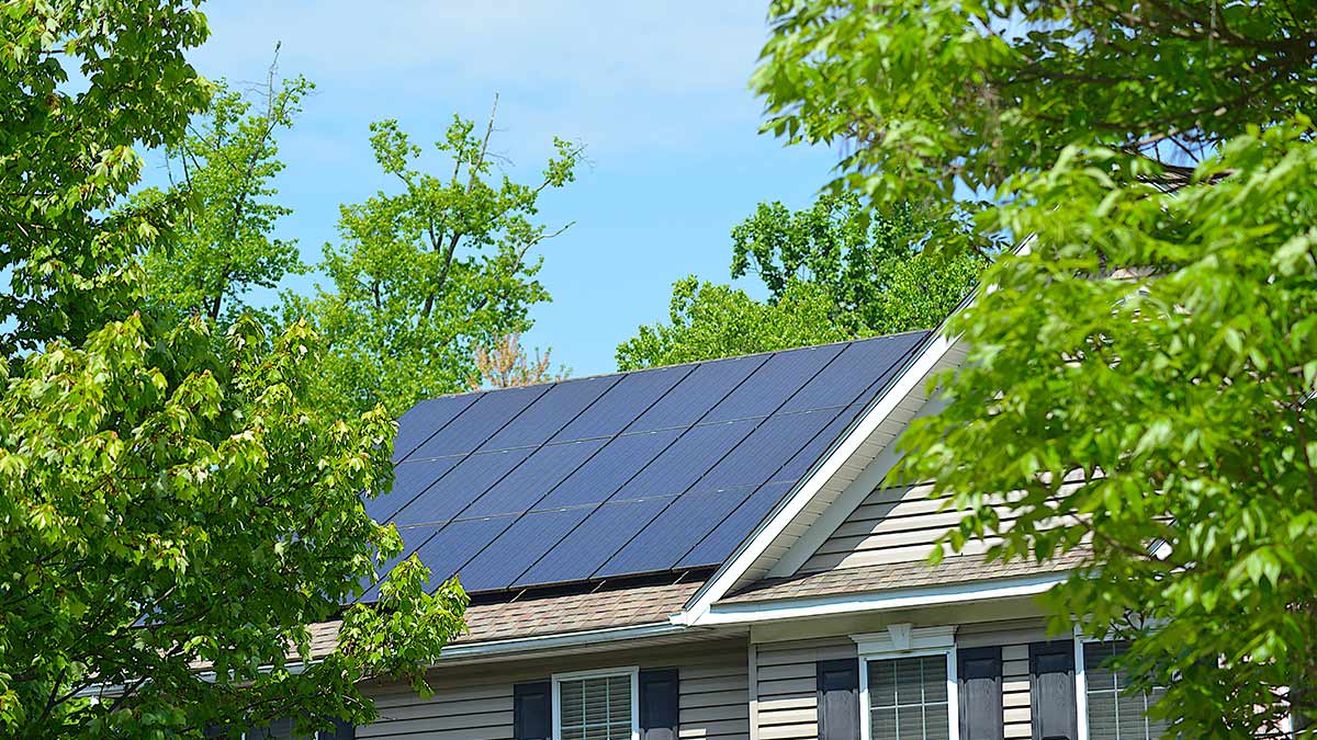 A row of dark solar panels is installed on the roof of a beige residential home, framed by leafy green trees under a clear blue sky.
