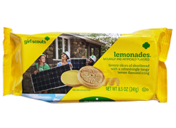 Lemonades