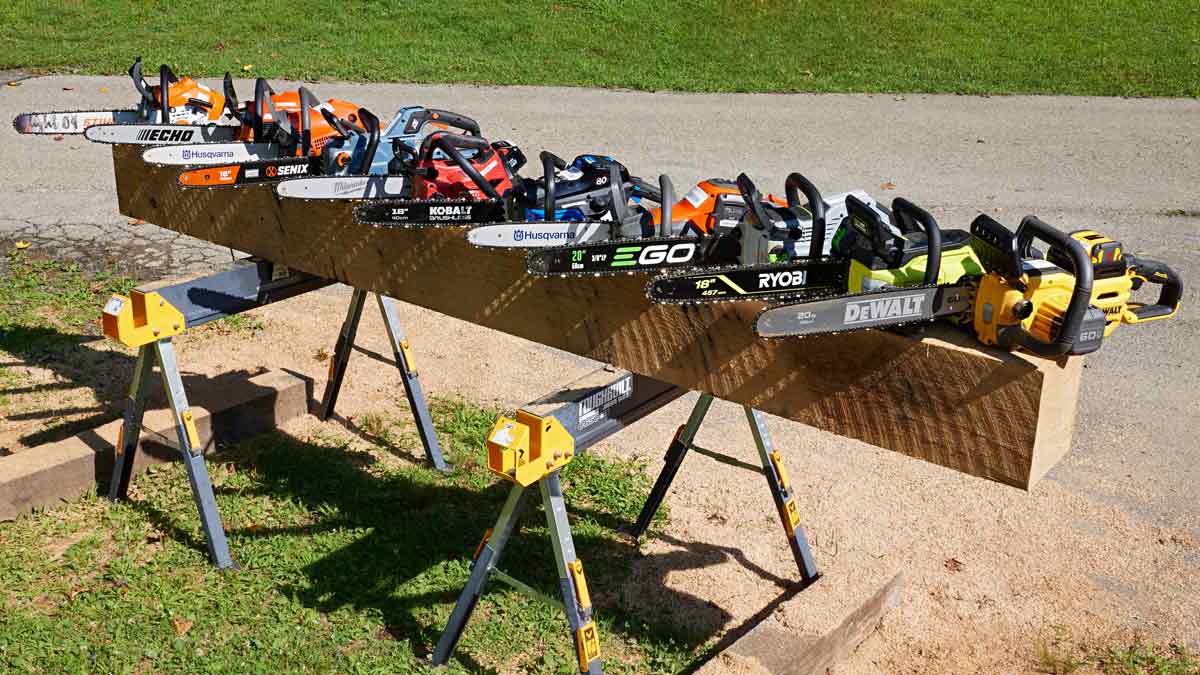 Best Chainsaws of 2025, Tested and Reviewed