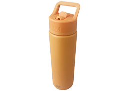 Summit Water Bottle with Straw Lid