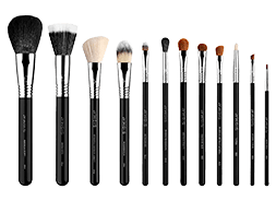 Essential Brush Set