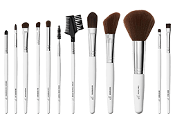 Professional Set of 12 Makeup Brushes
