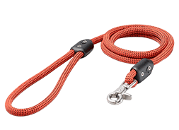 Lifetime Leash