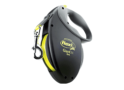 Retractable dog leash