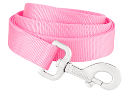 Nylon Leash