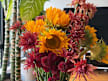 A flower arrangement featuring sunflowers, spiky reddish-orange spider mums, and deep burgundy pom-pom chrysanthemums indoors.