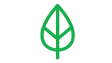 Green leaf icon