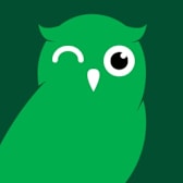 Owl Icon