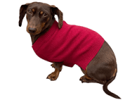 Naadam Cashmere Dog Sweater