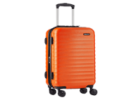 Amazon Basics 21-Inch Hardside Spinner Luggage