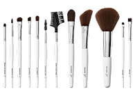 E.L.F. Professional Set of 12 Makeup Brushes