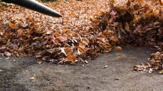 Leaf Blower Buying Guide