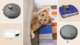 6 Best Robot Vacuums of 2026 for Pet Hair, Lab-Tested and Reviewed