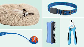 26 Best Gifts for Dog Lovers, According to Dog Owners